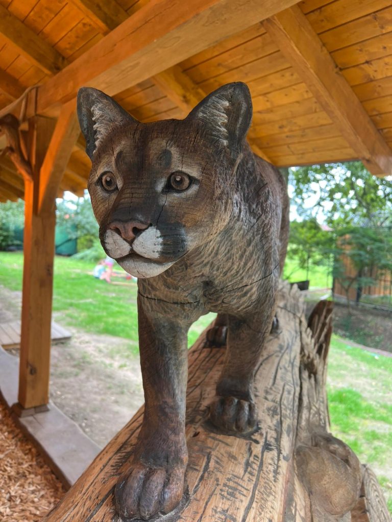 whatsapp-image-2025-11-05-at-193045-1 whatsapp-image-2025-11-05-at-193045-1